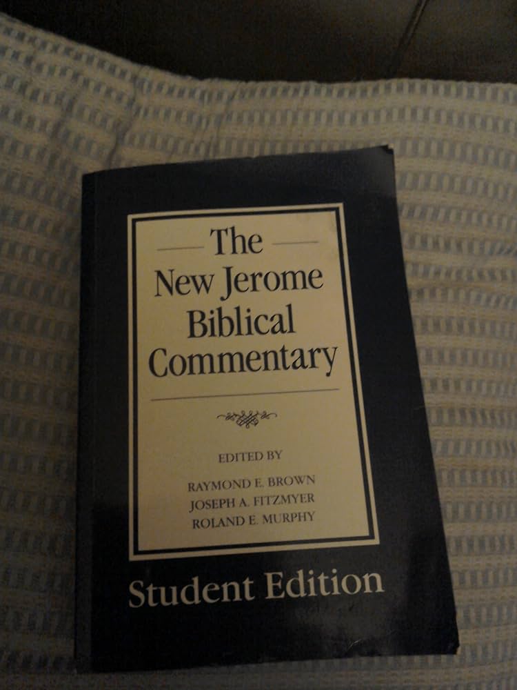 人文 The New Jerome Biblical Commentary 917YIj-4+pL._UF1000,1000_QL80_.jpg